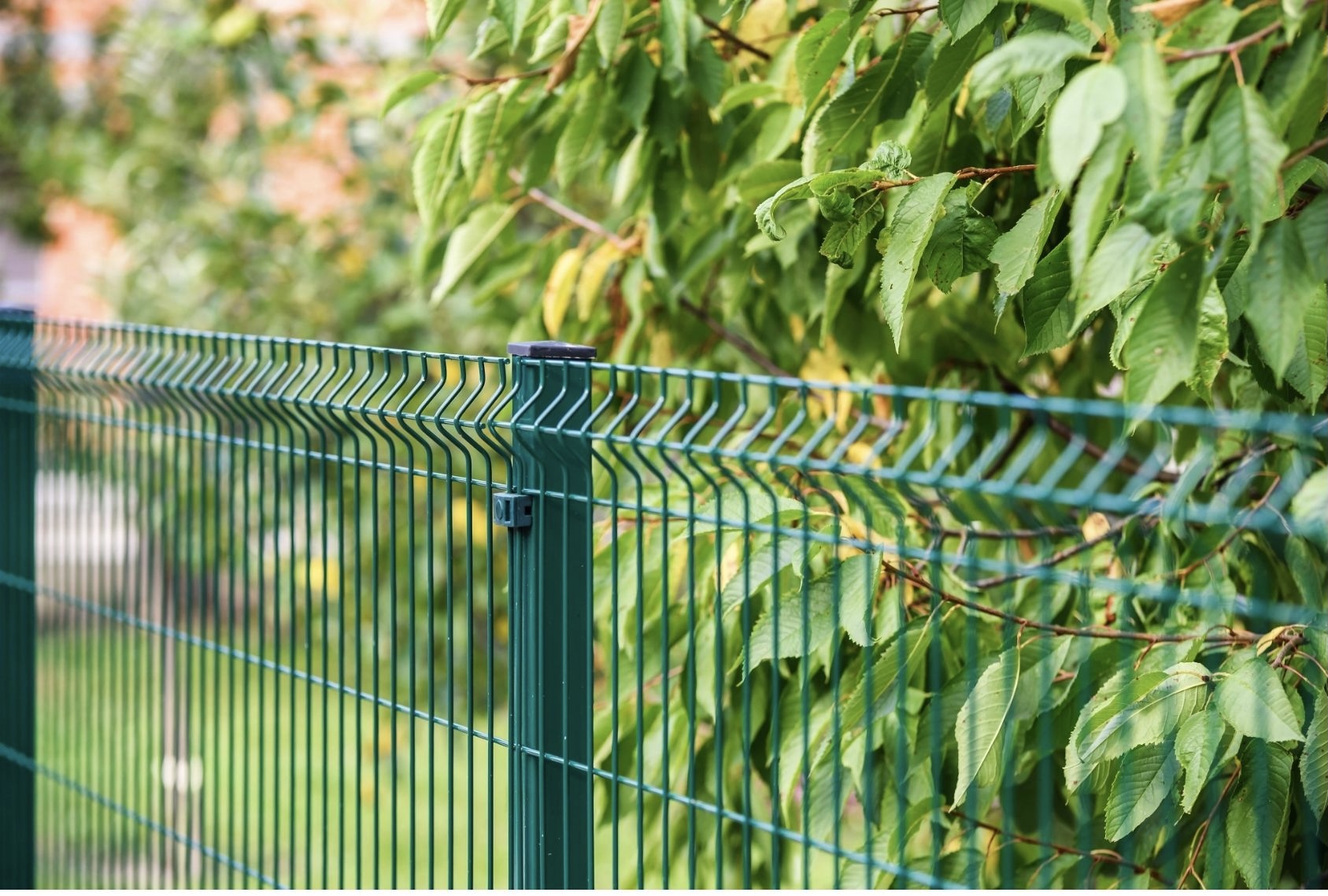 Clôture de grillage rigide pour jardin