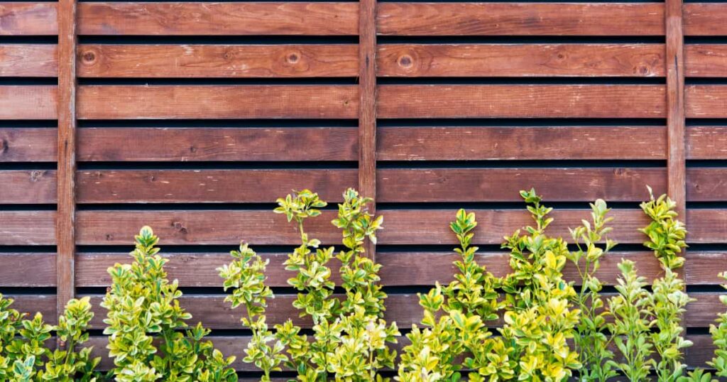 Palissade en bois et verdure
