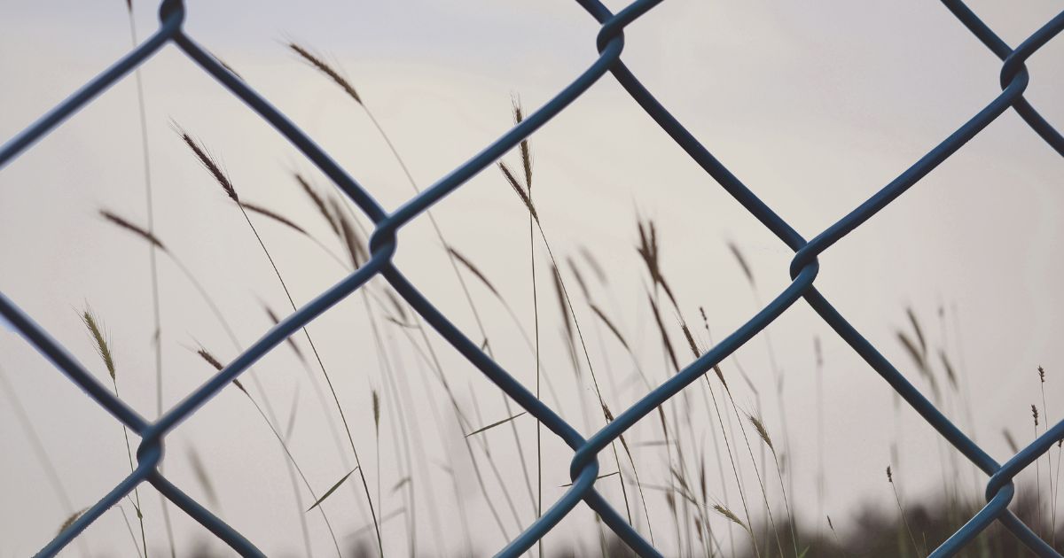 Clôture en grillage