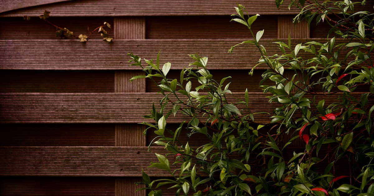Clôture de jardin en composite avec plante verte en avant plan