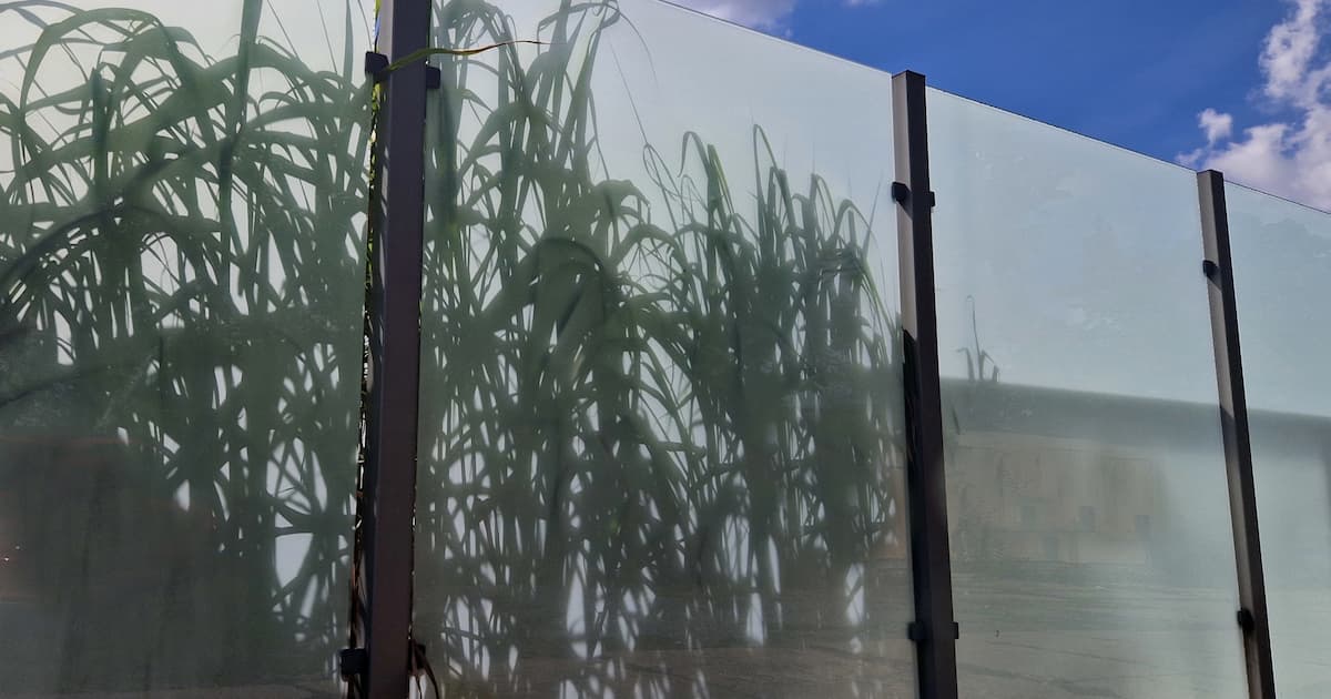 Clôture de jardin en verre dépoli. Une fontaine ornementale en herbe est projetée sur le verre sous forme de texture d'ombre.