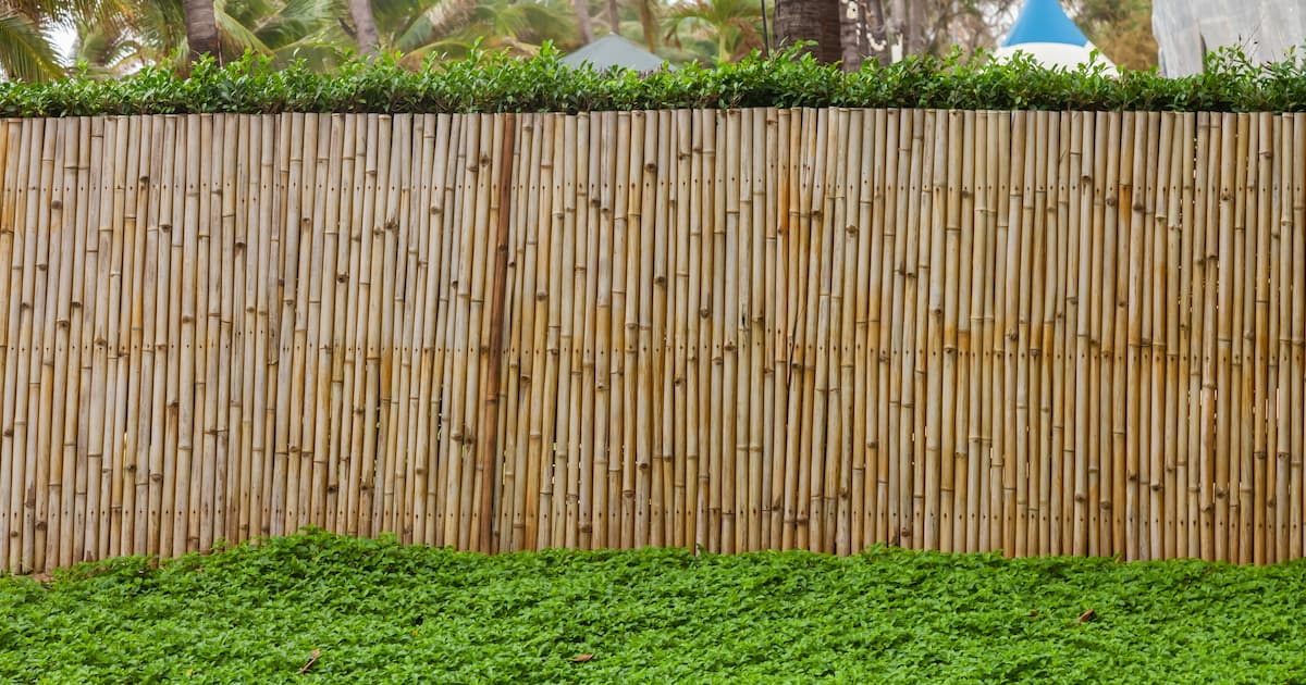 Palissade de jardin en bambou