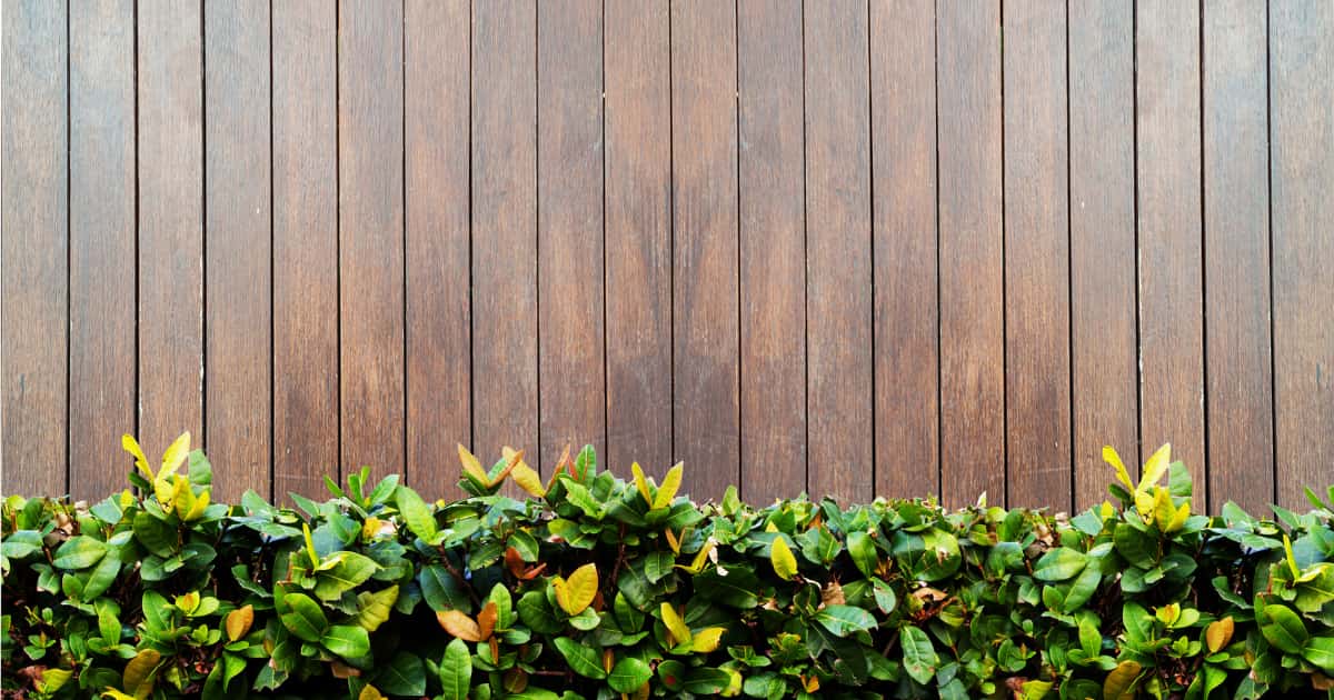 Palissade de jardin en bois vertical avec feuillage vert en bas de la clôture.
