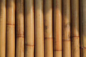 Pose bambou 