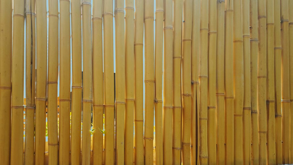 Types, prix et pose des clôtures en bambou en Belgique