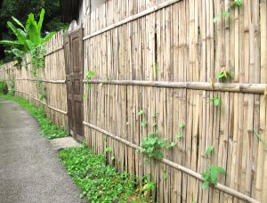 Pose clôture en bambou 
